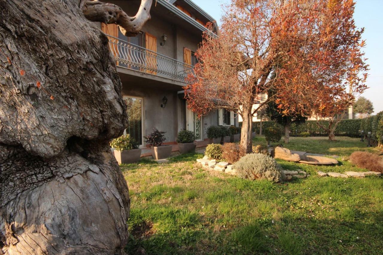 Magnolia Hotel Savignano sul Rubicone Exterior photo